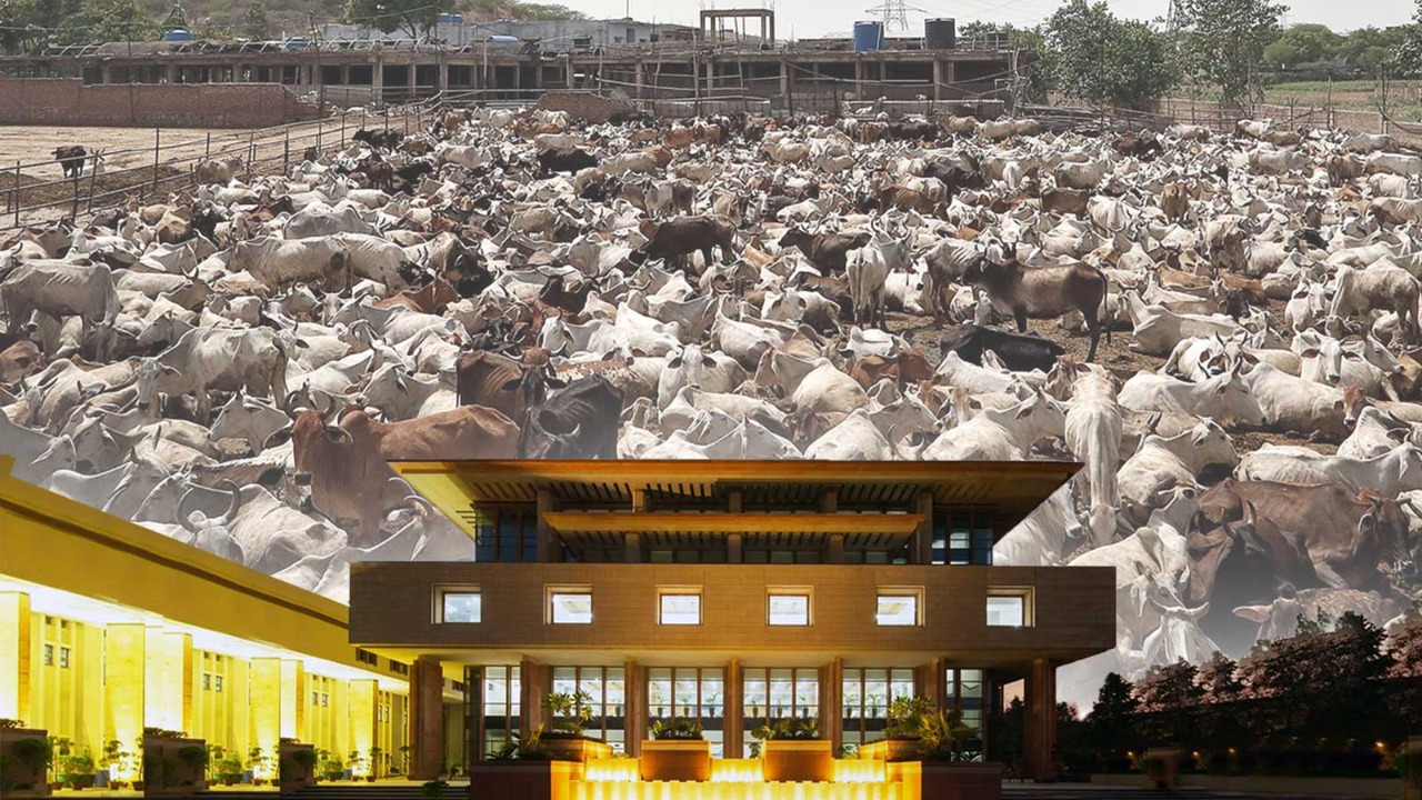 We Want People To Have Quality Milk, Not Contaminated Milk Not Poison: Delhi HC We Want People To Have Quality Milk, Not Contaminated Milk Not Poison: Delhi HC